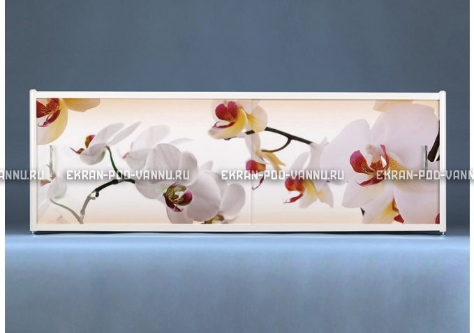 Раздвижной ФОТО экран - Orchid – купить по цене 8500 руб. в интернет-магазине в городе Челябинск картинка 1