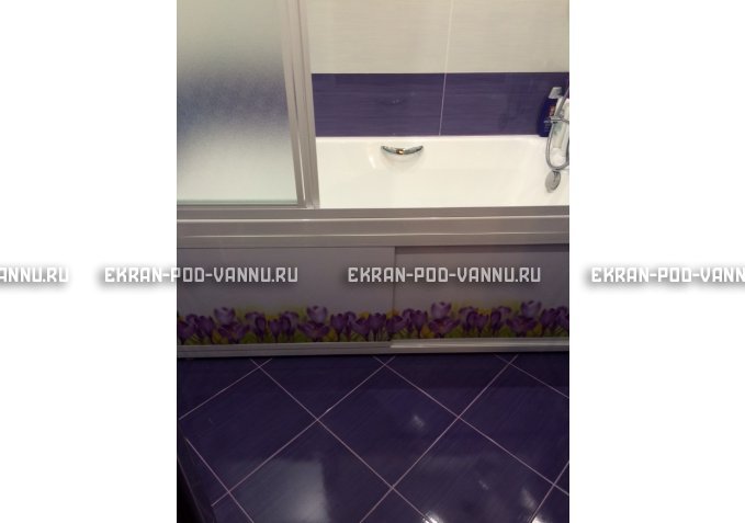 Экран на роликах EUROPLEX  Ирисы – купить по цене 12400 руб. в интернет-магазине в городе Челябинск картинка 4