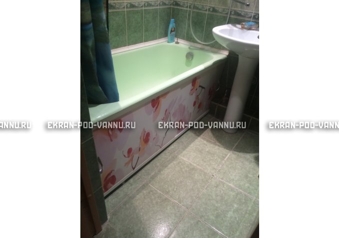 Раздвижной ФОТО экран - Orchid – купить по цене 8500 руб. в интернет-магазине в городе Челябинск картинка 5