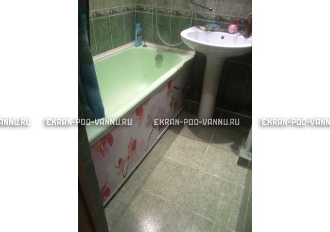 Раздвижной ФОТО экран - Orchid – купить по цене 8500 руб. в интернет-магазине в городе Челябинск картинка 6