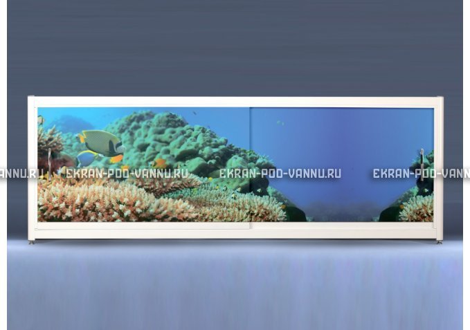 Экран на роликах EUROPLEX Коралловые рифы – купить по цене 12400 руб. в интернет-магазине в городе Челябинск картинка 1